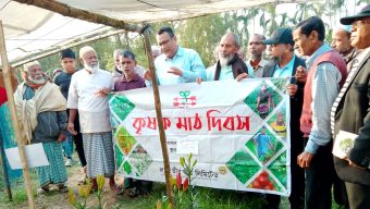 Lilium flower farming may change Habiganj Farmers ‘fate