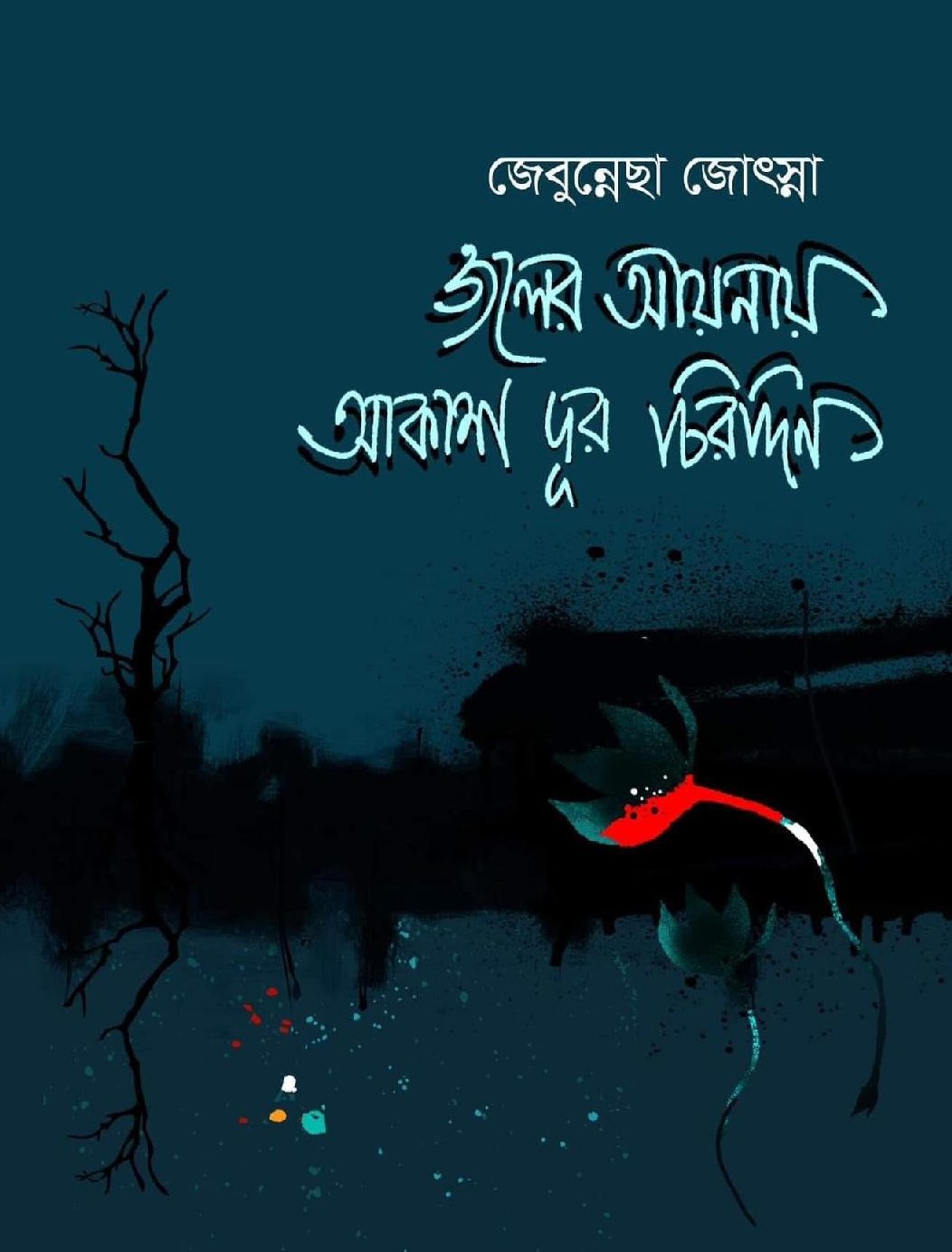 ‘জলের আয়নায় আকাশ দূর চিরদিন’-জেবুন্নেছা জোৎস্নার সাহিত‍্যকর্ম