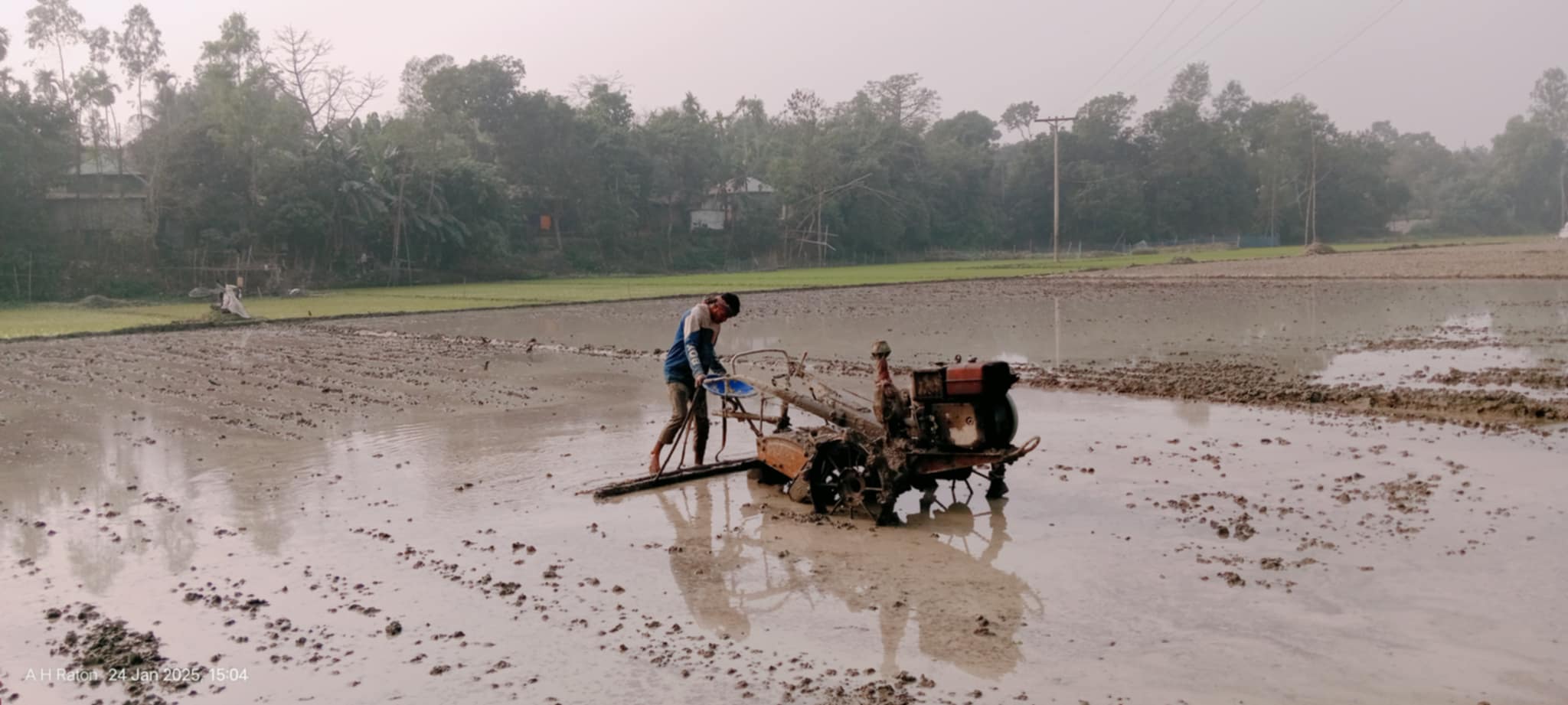 নাগরপুরে বিলুপ্ত গ্রাম বাংলার ঐতিহ্য গরু দিয়ে হালচাষ